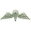 Eagleemblems P40046 Wing-British Jump (2 '') 1