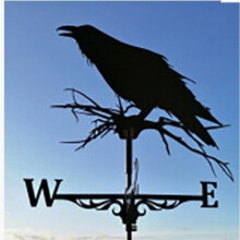 (Crow) Metal Weathervane,Witch Iron Weather Vane,Sea Rover Wind Direction Indicator Garden Decoration Outdoor Roof Decoration Gardening