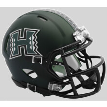 Riddell NCAA Hawaii Warriors Helmet Mini SpeedHelmet Replica Mini Speed Style Matte Green Design  Team Colors  One Size