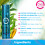 OYA REFLECT Serum Μαλλιών - 50ml (1.7 Fl Oz.) - Σαμπουάν για Φριζαρισμένα και Κατεστραμμένα Μαλλιά 2