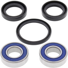 All Balls Racing 25-1077 Wiellagerafdichtingsset Compatibel met/Vervanging voor Honda