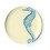 Thomas Paul Melamine Sealife Side S/4 salad plate, multi 5