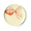 Thomas Paul Melamine Sealife Side S/4 salad plate, multi 4