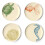 Thomas Paul Melamine Sealife Side S/4 salad plate, multi 1