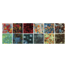 Mayco Jungle Gems Glaze 1 Pint, verschiedene Farben, 12er-Set