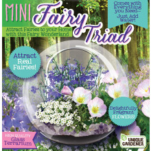 Encante seu Espaço com o Mini Kit de Terrário de Vidro por Unique Gardener! Flores Fragrantes & Plantas de Fadas