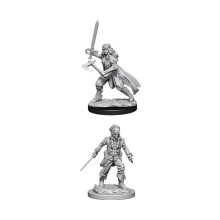 D&D Nolzurs fantastiske miniatyrer - vampyrj?gere