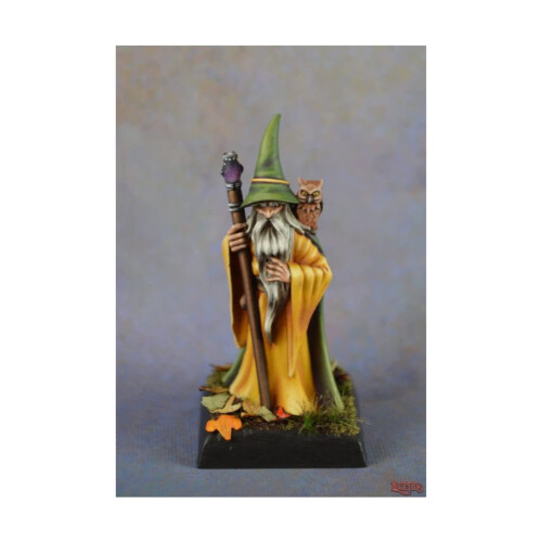 DHL: Anuminar Winterbeard  Wizard