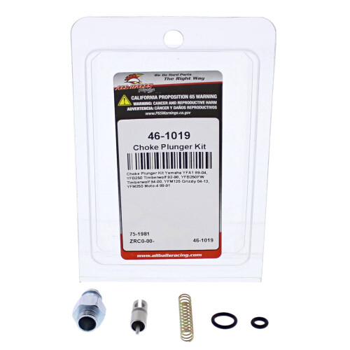 All Balls Racing Choke Plunger Kit 46-1019 Compatible With/Replacement 2