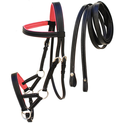 CHALLENGER Horse Western Leather Training Tack Bitless Sidepull Bridle