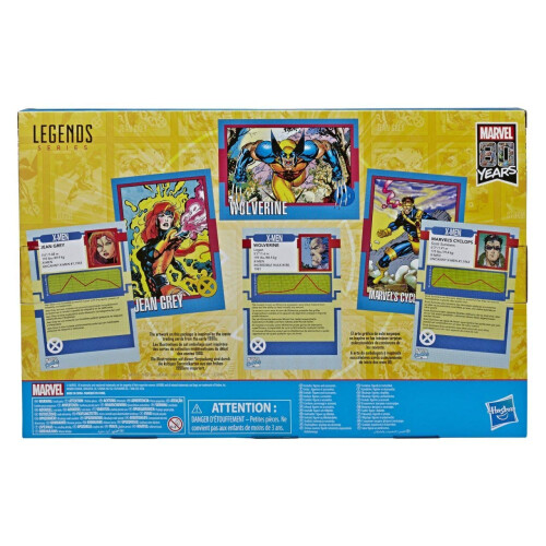 Hasbro Hasbro Marvel Legends Series 6-inch Collectible Action Figures 3-Pack 2