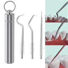 (As show, One size) 3pcs Toothpick Set Stainless Steel Oral Tooth Cleaning Tool With Storage Tube