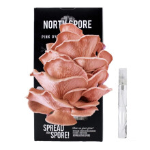 North Spore Organic Pink Oyster Mushroom Spray & Grow Kit (4 lbs) | USDA Certified Organic Non-GMO Begyndervenlig og let at bruge | Voks dine sva