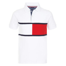 Tommy Hilfiger Boys' Short Sleeve Fashion Polo Shirt, Gary White, 12-14