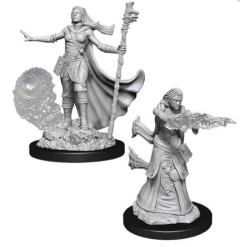 D&D Nolzur's Marvelous Miniatures - Άνδρας Ανθρώπινος Πολέμαρχος 1