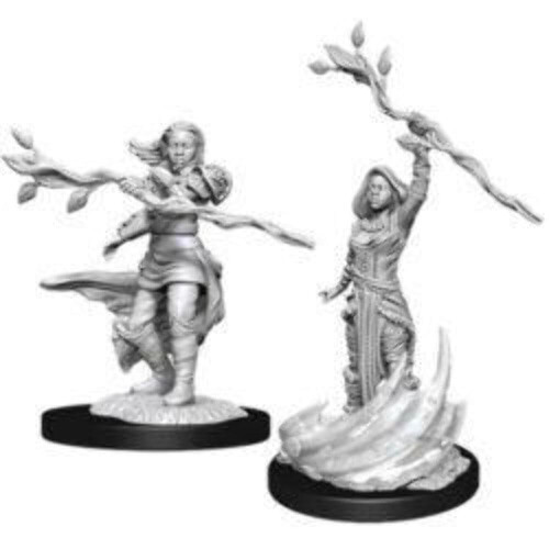 D&D Nolzur's Marvelous Miniatures - Άνδρας Ανθρώπινος Πολέμαρχος 2