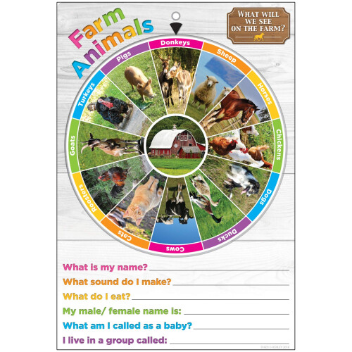 Ashley Productions Smart Poly Smart Wheel Dyr