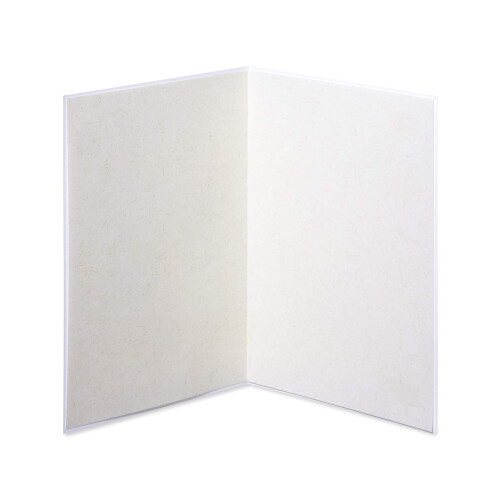 Papyrus Blank Card (Hello There) 2