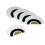 Bird Whistle 5 Pack - Swiss Warbler - Original Magic Tweeting Noisemaker 1