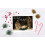 JBH Creations Religious Nativity Christmas Card with Scripture - Pack 4