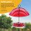 Wahl DOME Protectora para Comederos de Aves, 10", Transparente 2
