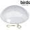Wahl DOME Protectora para Comederos de Aves, 10", Transparente 4