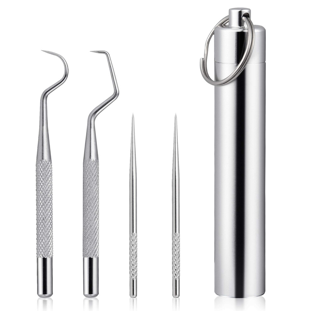 Worldity 5Pcs Reusable Toothpick  Portable Metal Toothpick  Profession-image-OPC-PFMS6SV-NEW