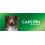 Capstar Capstar Dog Cat Flea Tablets Treatment Kills Fleas Fast 57mg - 6 Pack 7
