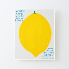 Framed Canvas Print The Lemons When Gives You=1600 DIY Install Kit - 16x20" Wall Art Home Décor