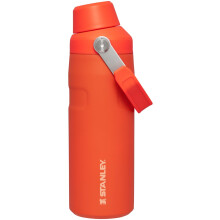 Bouteille d'eau Stanley IceFlow Fast Flow 16 OZ | Bouchon incliné | Léger et étanche | Acier inoxydable isolé