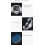 Luminous Waterproof Female Wristwatch 5
