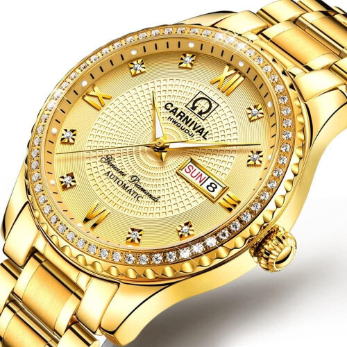 Diamond Gold Automatic Mechanical Watch Chic Dress Watch 1