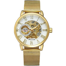 Automatic Watch Transparent Watch Dial Hollow Skeleton Silver Tone Mesh Band Watch