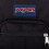 Jansport JANSPORT BIG BREAT Isolierte Lunchbeutel 3