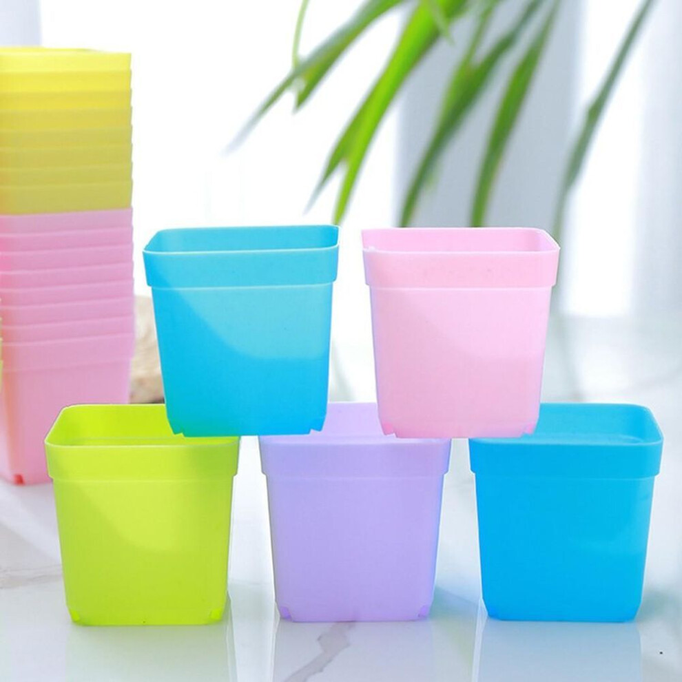 10pcs Mini Basin Square Flower Pots Succulent Plants Tray Home Bonsai Decor Diy
