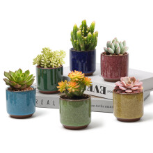 T4U 2.5 Inch Small Ceramic Succulent Planter Pot with Drainage Hole Set of 6 Ice Crack Glaze Porcelain Handicraft Plant Container Gift for Mom Sister