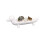 Creative CoOp Elongated White Ceramic Dog Dish 5