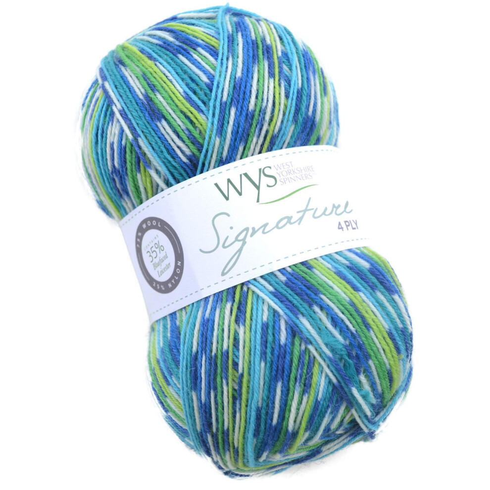 WYS Bluefaced Leicester Wool/Sock Wool self pattern with Signature 4ply Sock Yarn 100g | 851 Peacock Blue Faced Leicester Wool by West Yorkshire Spin