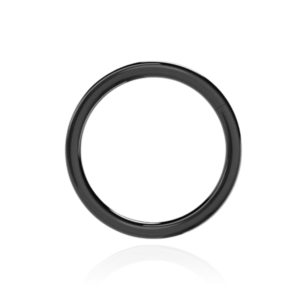 (Rainbow, 6mm) 316L Surgical Steel 18G Hinged Segment Clicker Ring-image-OPC-PG9BCWB-NEW
