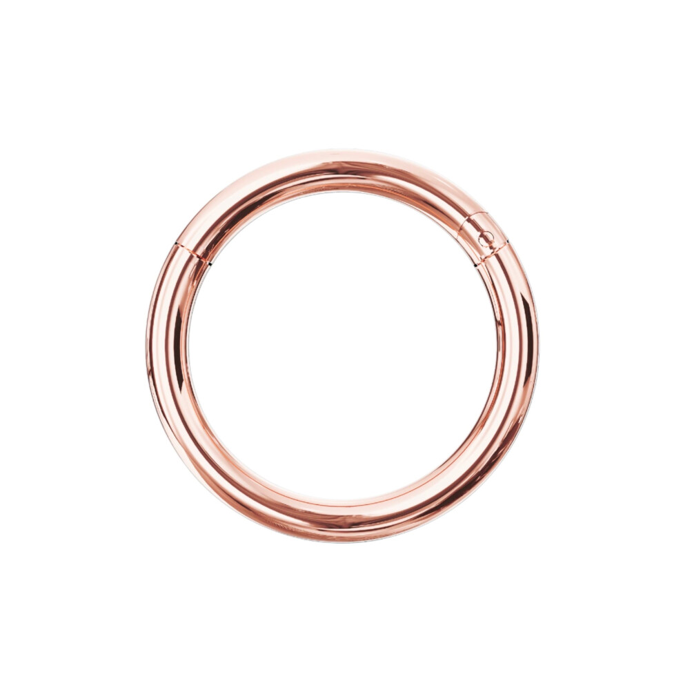 (16G, 8mm) 9K Gold Classic Hinged Segment Clicker Ring-image-OPC-PG9BDBQ-NEW