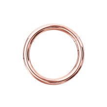(16G, 6mm) 9K Gold Classic Hinged Segment Clicker Ring
