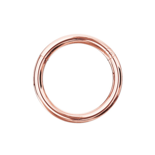 (16G, 6mm) 9K Gold Classic Hinged Segment Clicker Ring
