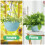 RooTrimmer 4 Vasos Suspensos, Cestos de 10 e 8 Polegadas para Plantas, Vasos com Drenagem 5