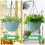 RooTrimmer 4 Vasos Suspensos, Cestos de 10 e 8 Polegadas para Plantas, Vasos com Drenagem 4