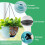 RooTrimmer 4 Vasos Suspensos, Cestos de 10 e 8 Polegadas para Plantas, Vasos com Drenagem 3