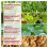 vidaXL Outdoor-Sofagarnitur 4 stk. Natur und Anthrazit 9