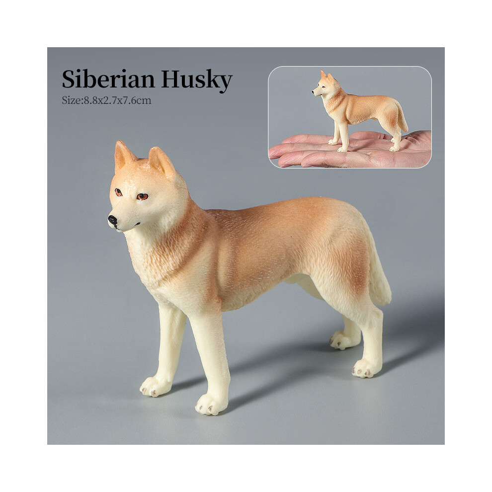 Maxpower (Dog-15) Farm Dog Animals Model Husky German Shepherd Saint Bernard Action Figure Puppy Figurines Pvc Cute Collection