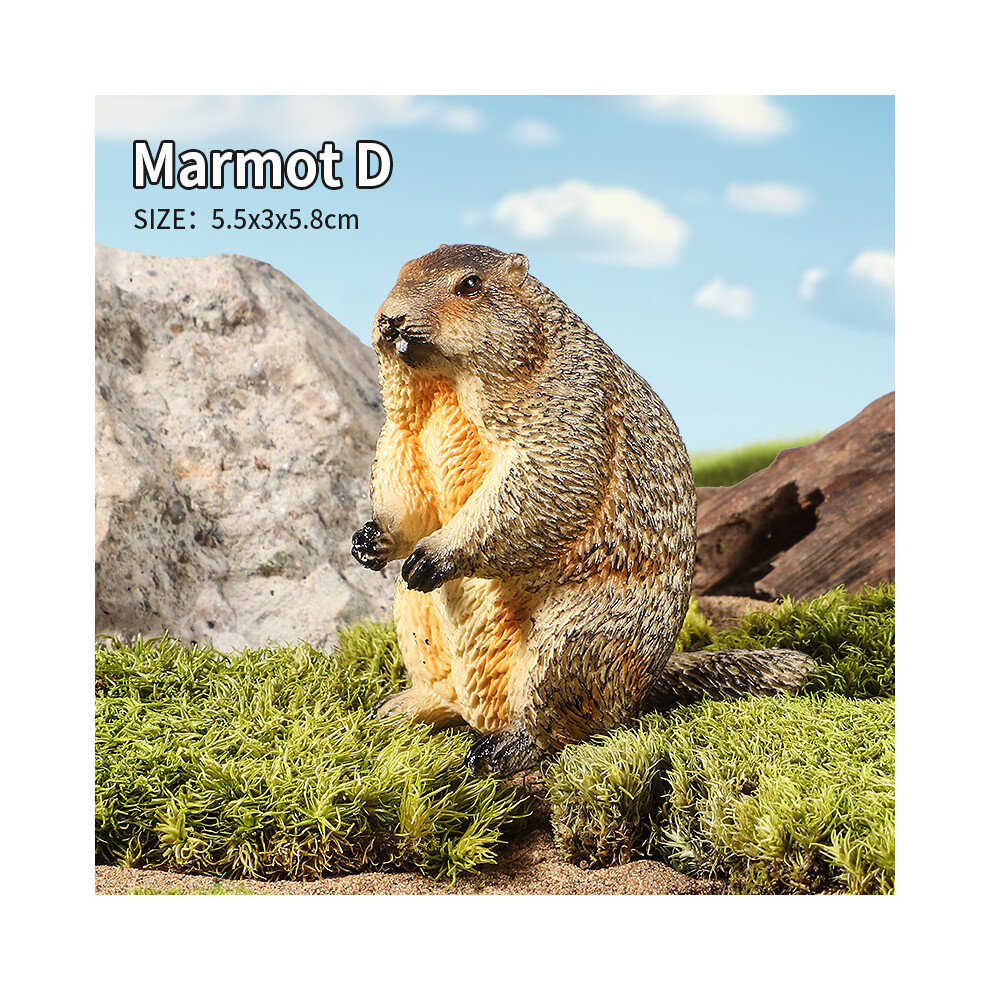 Maxpower (Marmot D) Wild Animals Simulation Rodent Marmot Capybara Model Action Figure Figurine Collection Cute Kid Toy