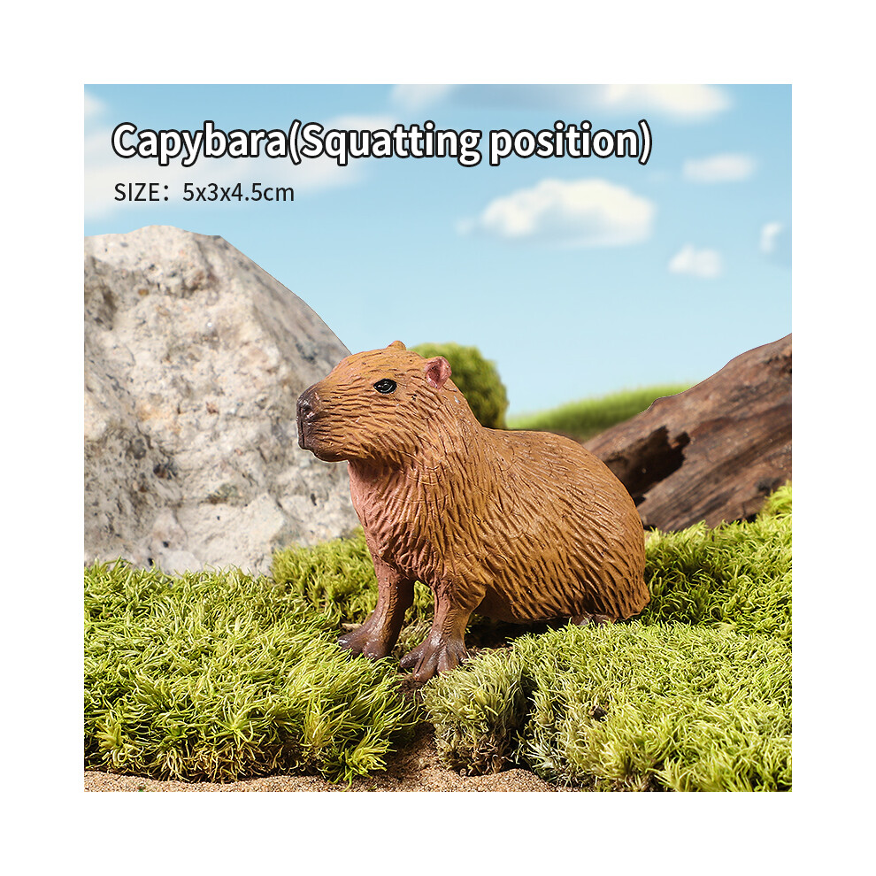 Maxpower (Capybara C) Wild Animals Simulation Rodent Marmot Capybara Model Action Figure Figurine Collection Cute Kid Toy