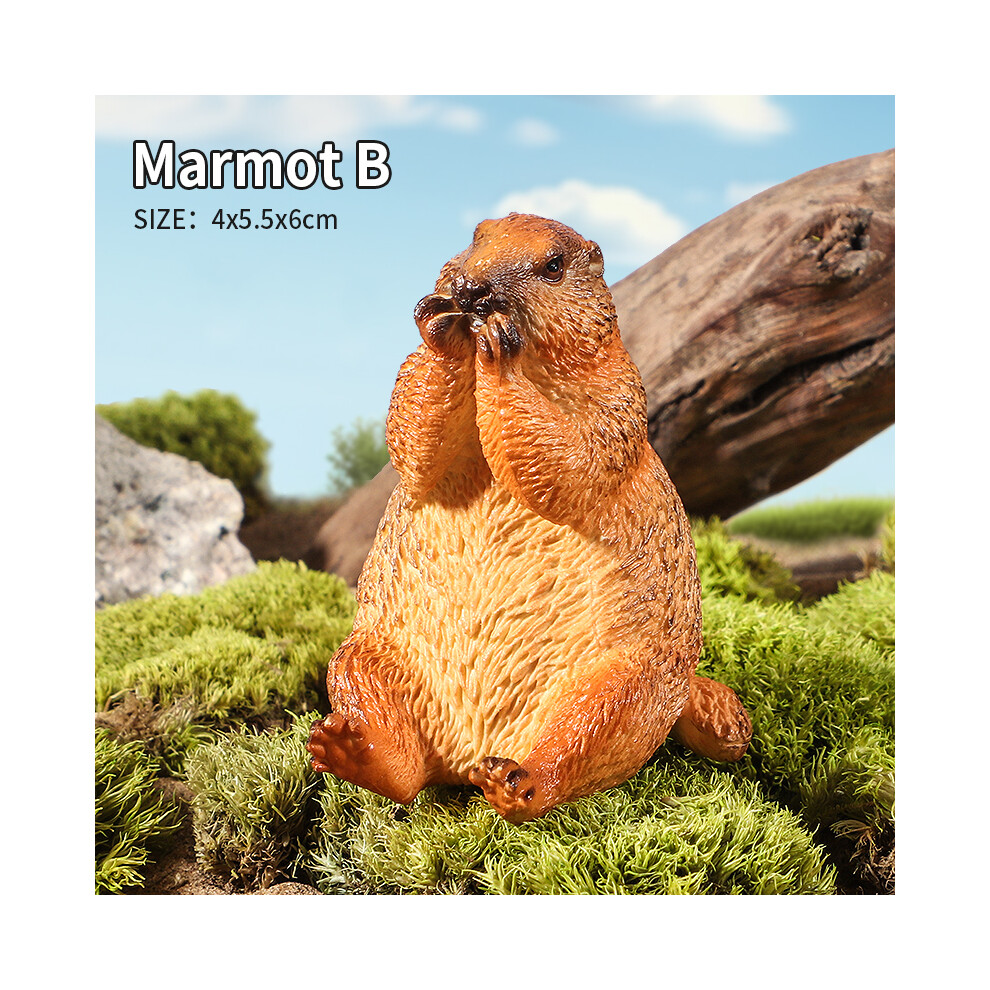 Maxpower (Marmot B) Wild Animals Simulation Rodent Marmot Capybara Model Action Figure Figurine Collection Cute Kid Toy
